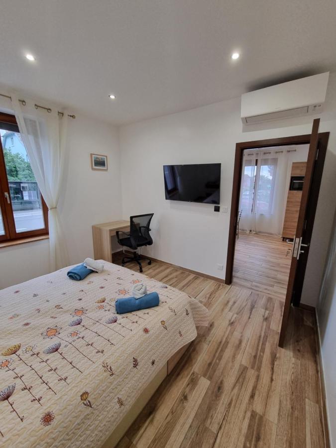 L'oasis Moderne Bischheim